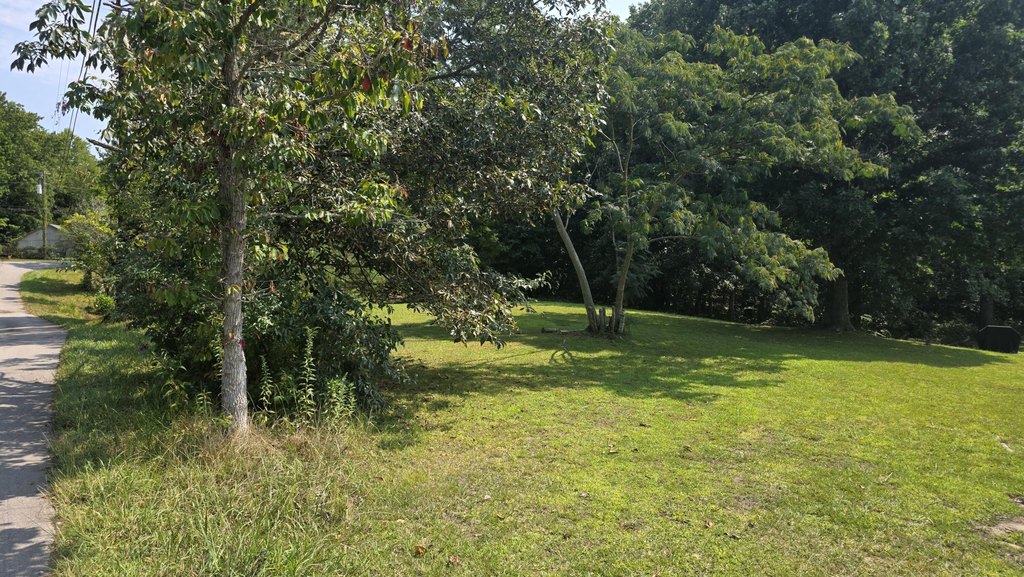 Picture 21