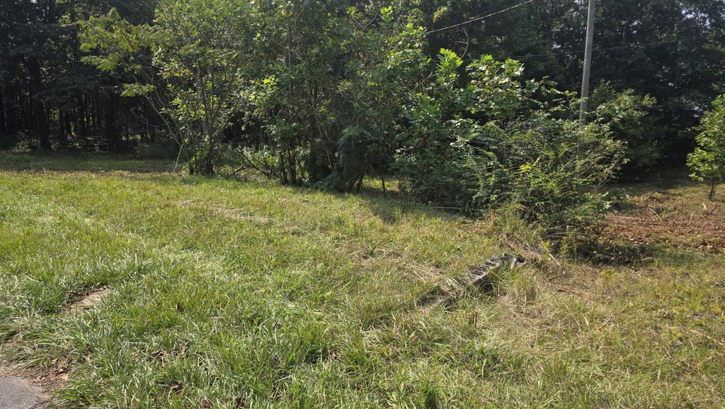 Picture 11