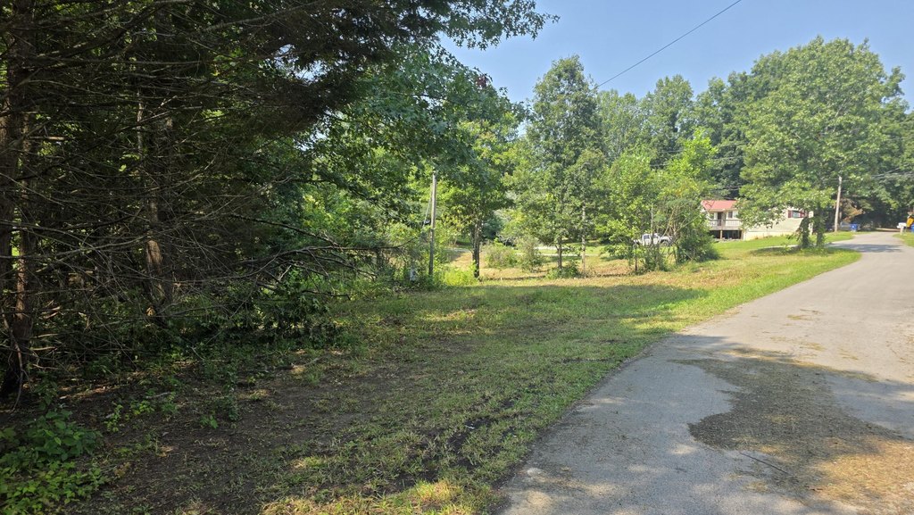 Picture 6
