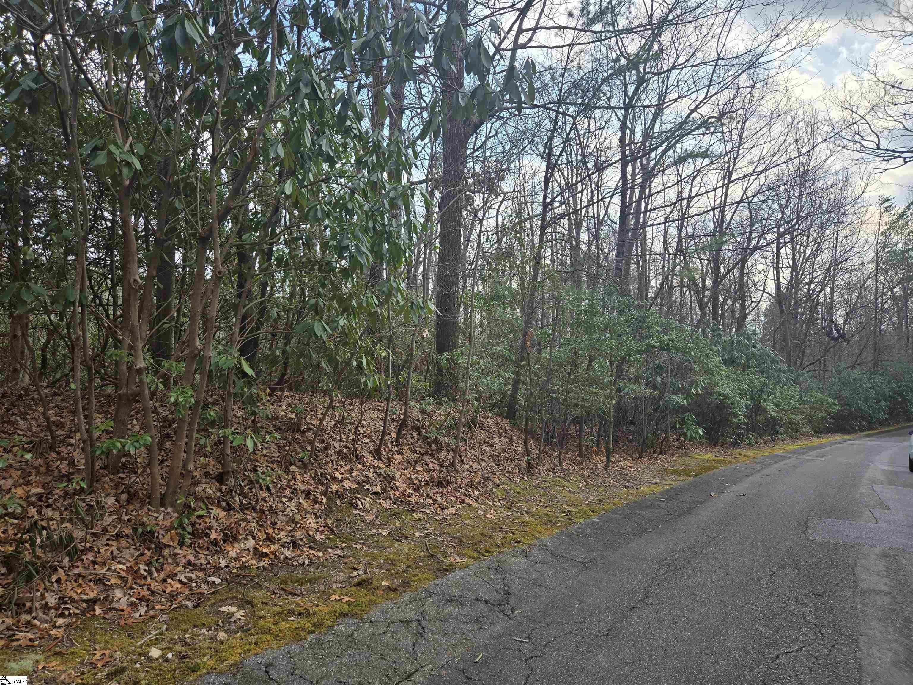 Residential Land in Cliff Ridge