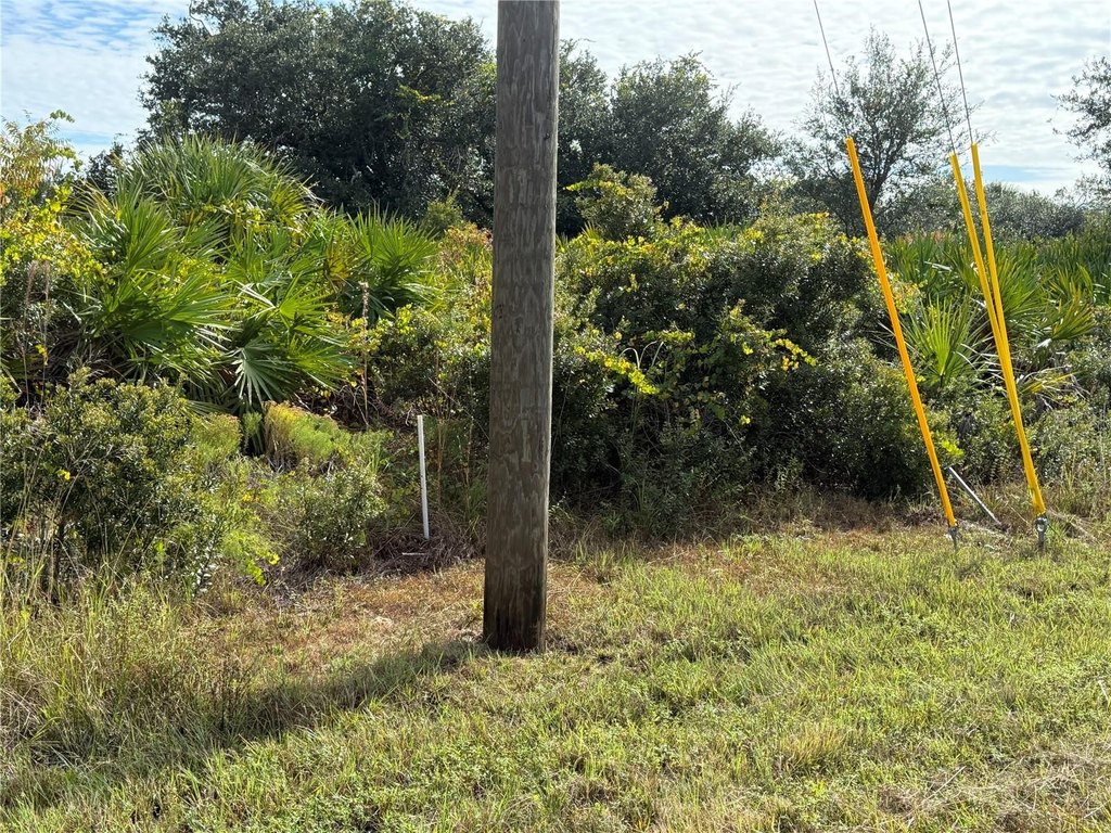 Picture 4
