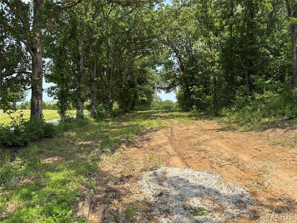 Picture 19