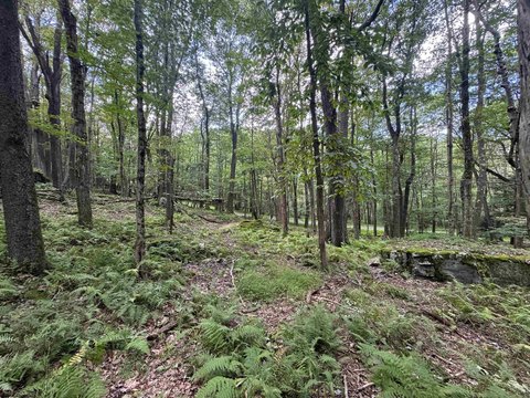 Lots/Land, Terra Alta, WV