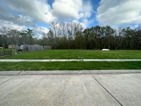 Picture 5