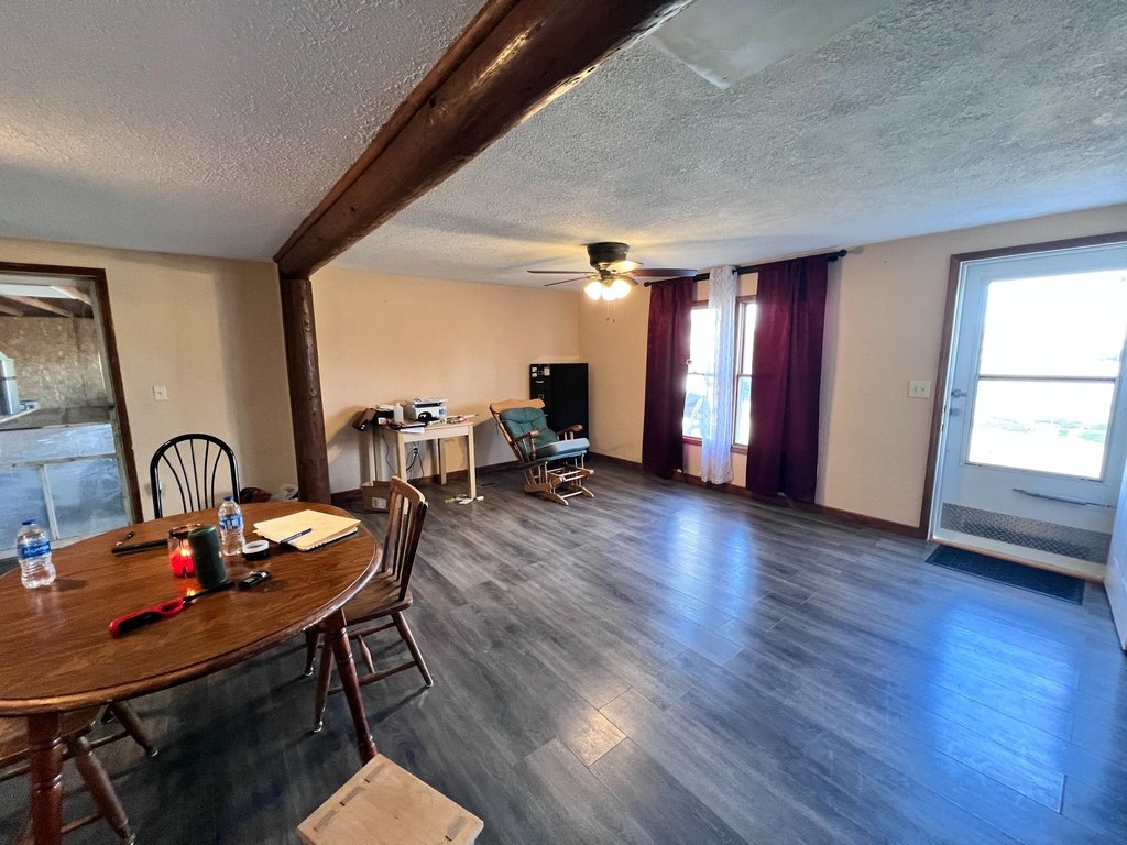 Picture 5