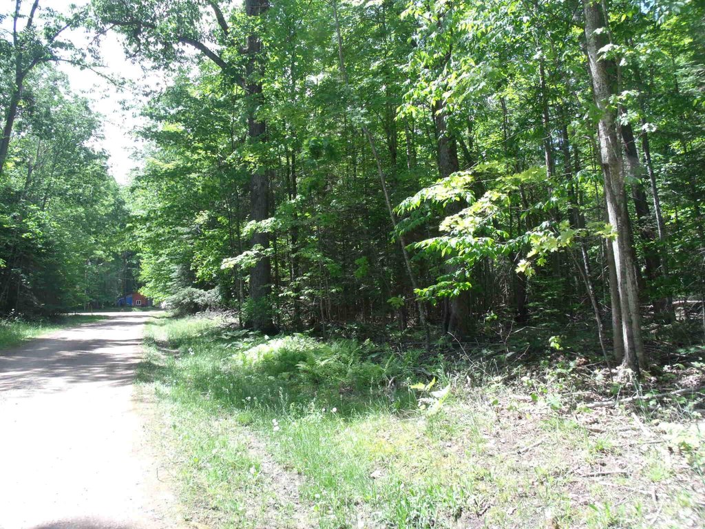 Picture 31