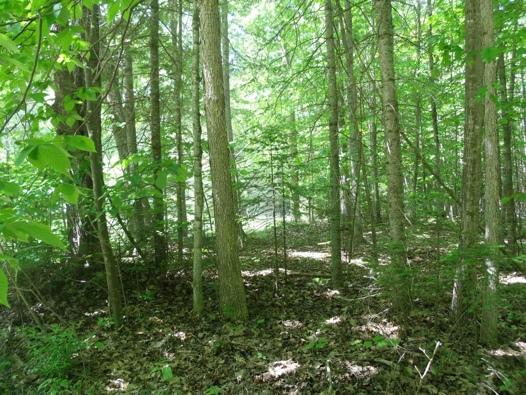 Picture 14