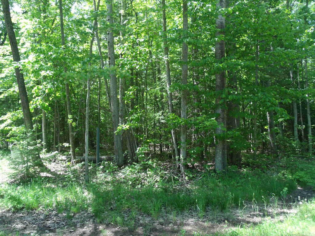 Picture 30