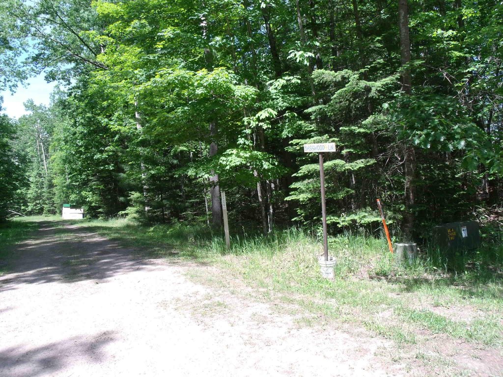 Picture 16