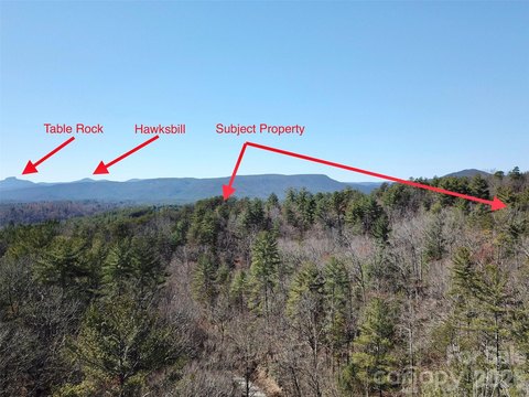 Unrestricted Mountain Hunting Land