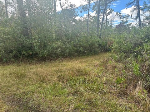 Land, CHRISTMAS, FL