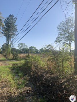 Texarkana Land with Road Frontage