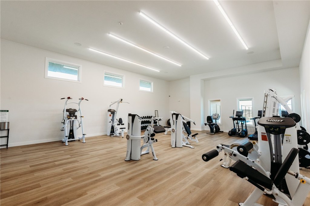 Picture 9
