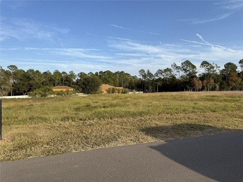 Vacant Residential Homesite Land