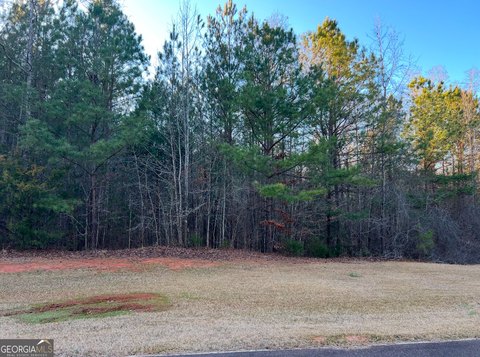 Forsyth, GA Building Lot