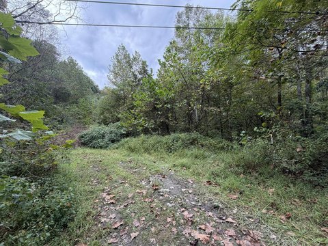 Land, Ridgeview, WV