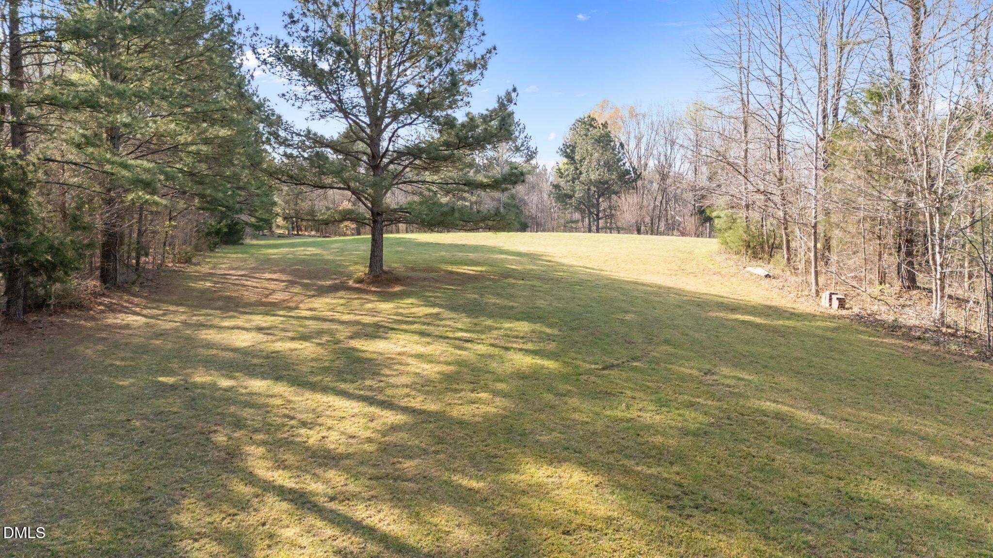 20 Acres Wooded Land