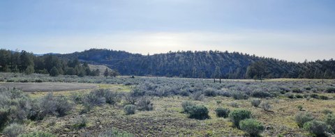 Lake Shastina Homesite Opportunity