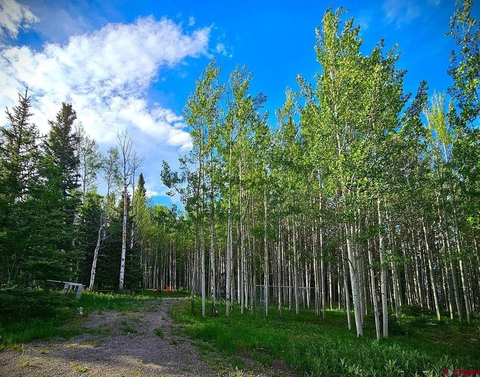 Picture 20