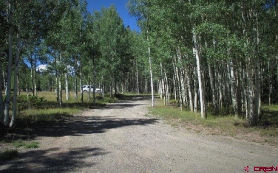 Picture 7