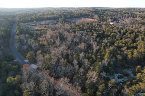 LAND - Cedar Bluff, AL