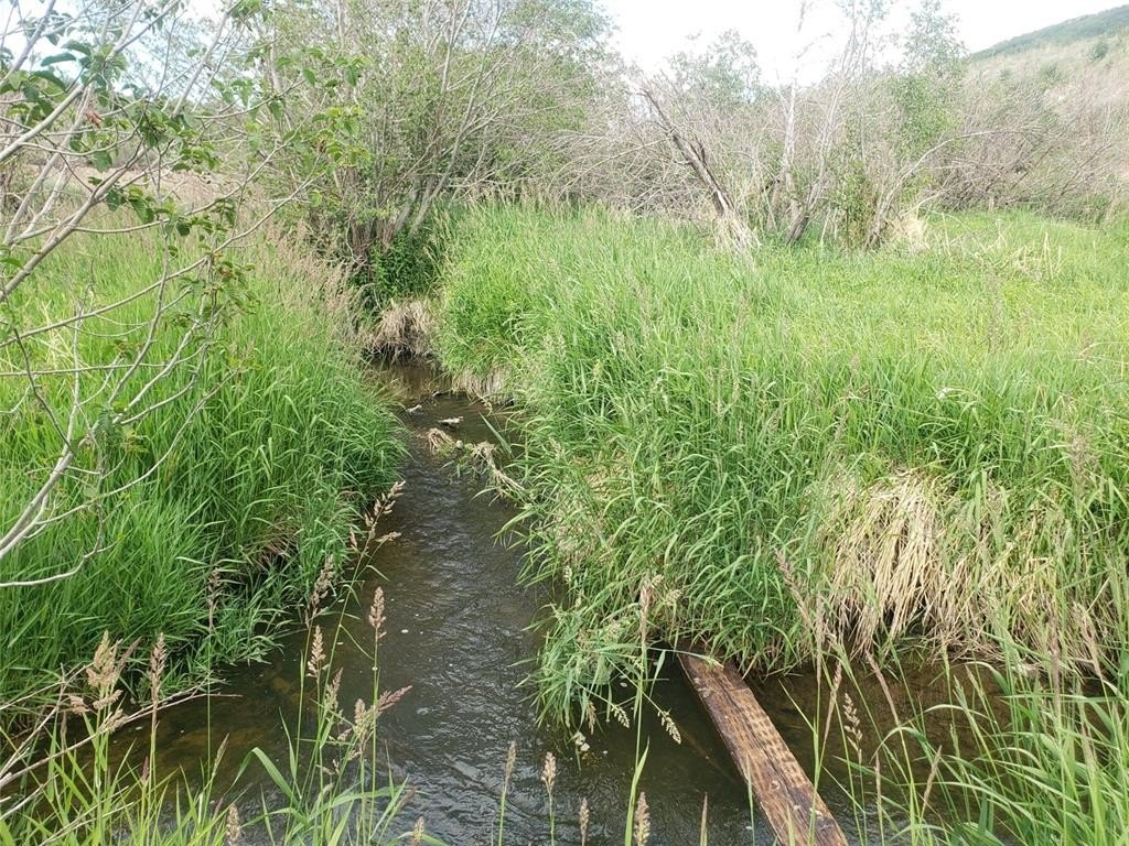 Picture 7