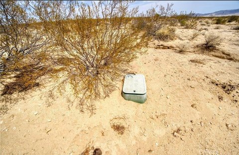 Joshua Tree 5-Acre Parcel