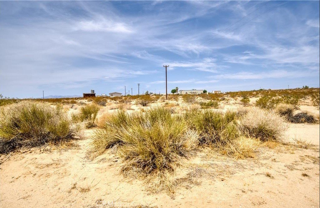 Picture 7