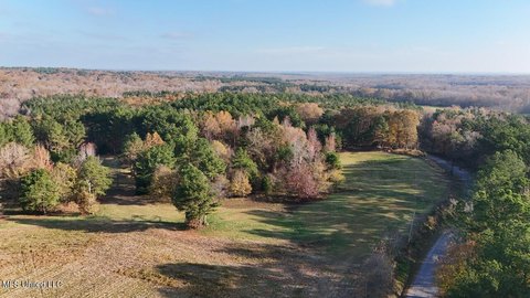 Lamar, MS Wooded Acreage