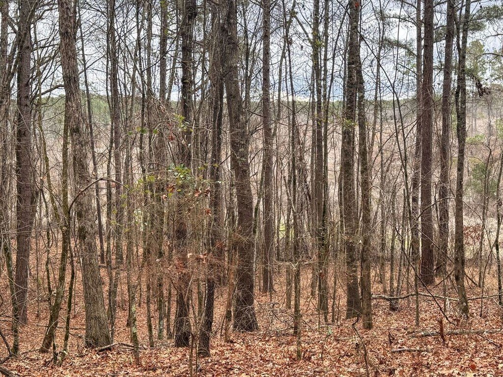 Picture 25