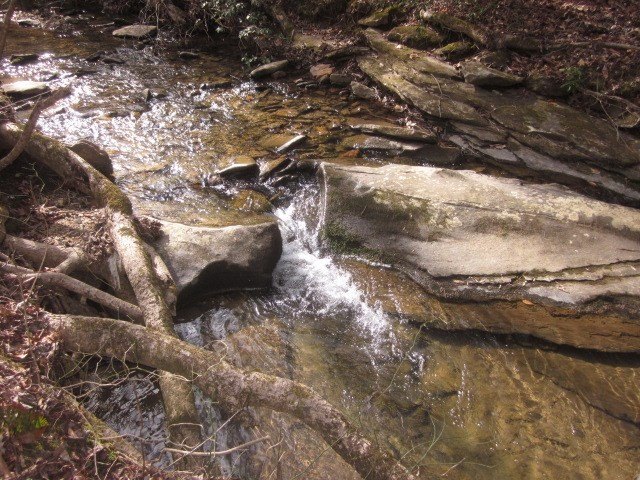 Picture 18
