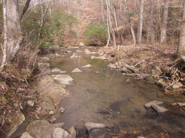 Picture 13