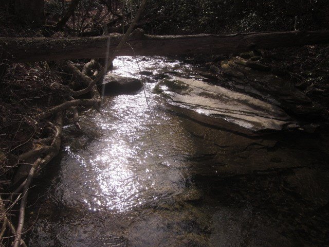 Picture 17