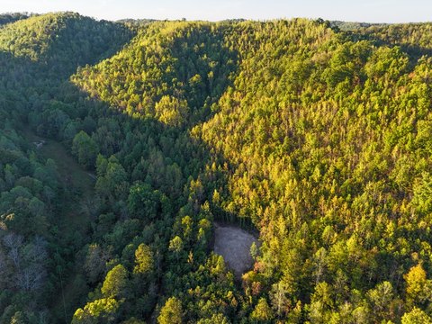 Recreational Hunting Land with Creek