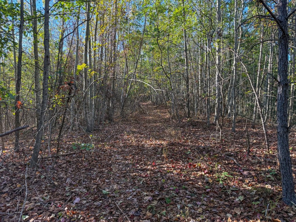 Picture 29