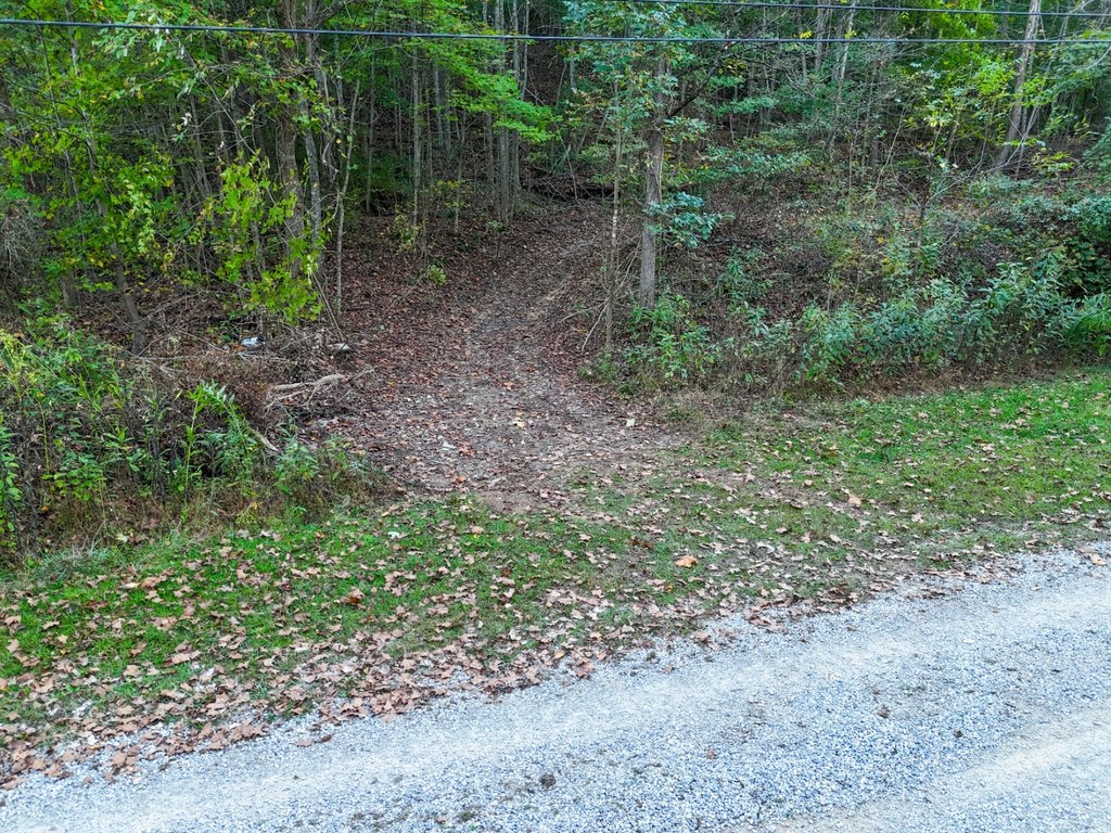 Picture 12