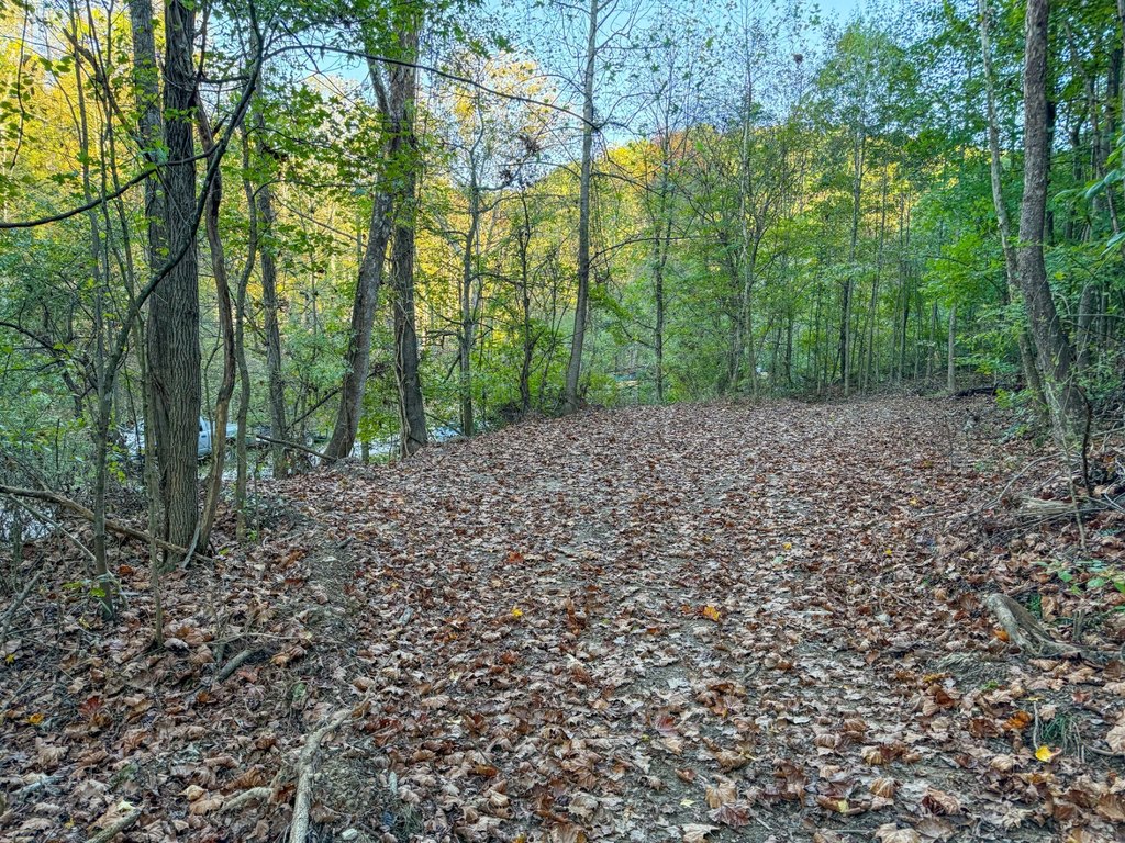 Picture 37