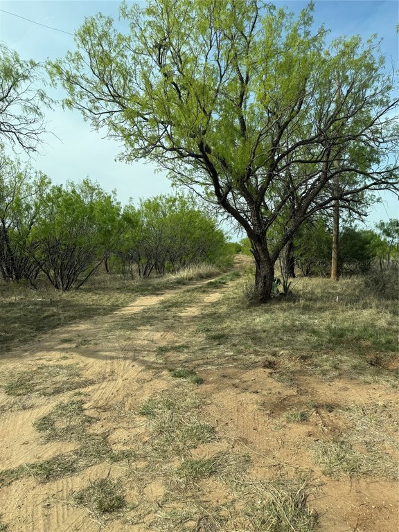 Picture 19