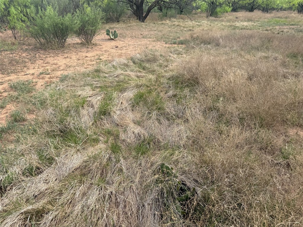 Picture 23