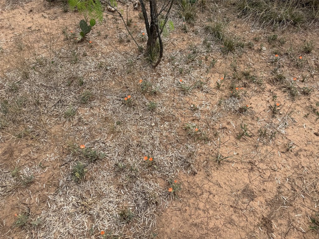 Picture 22