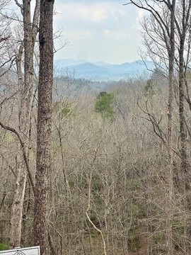Vacant Lot, Blue Ridge, GA