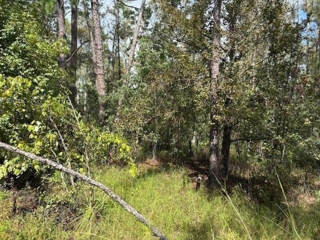 Kathleen, FL Land Available