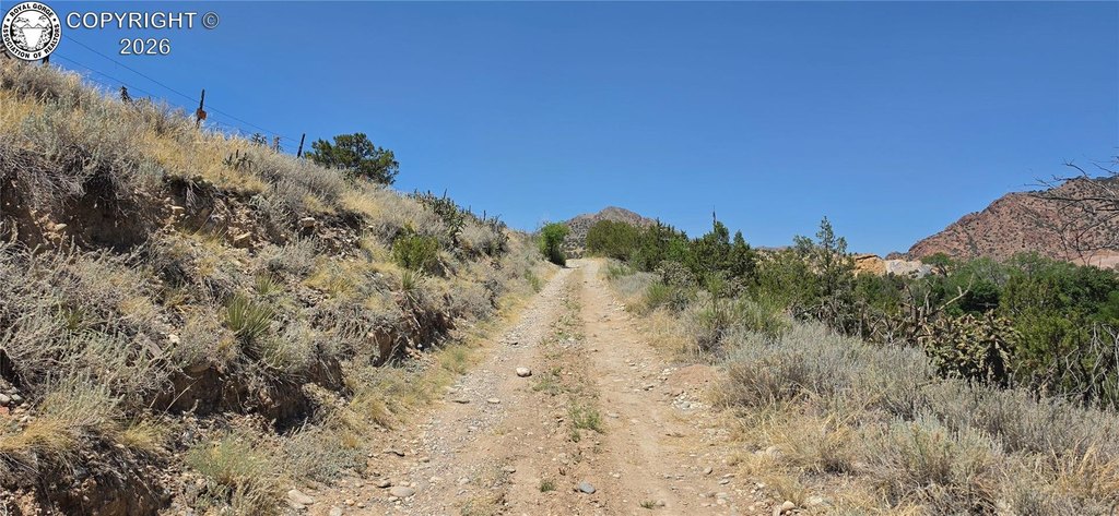 Picture 31