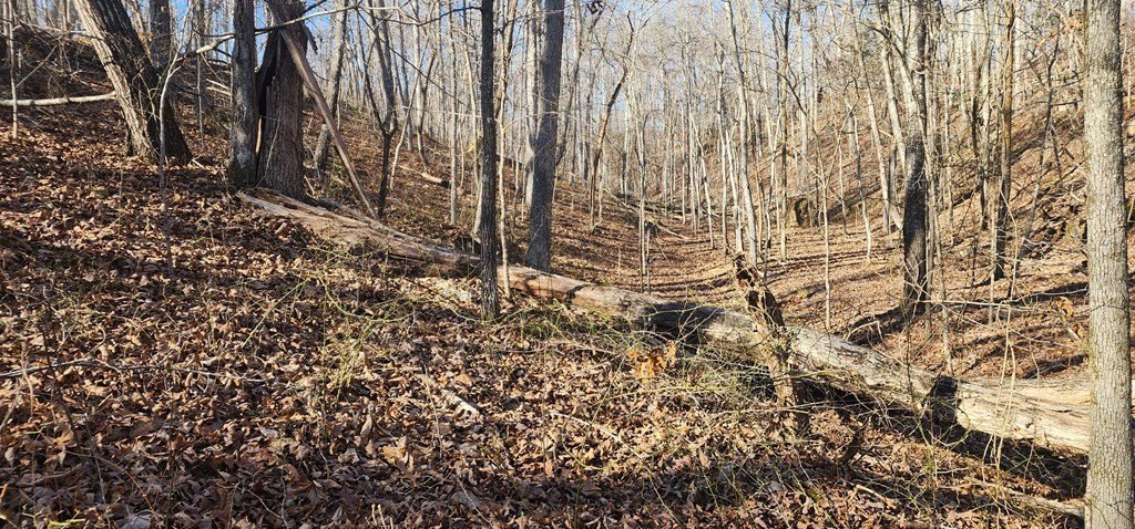 Picture 3