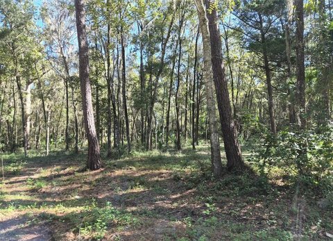 Land, Ocala, FL