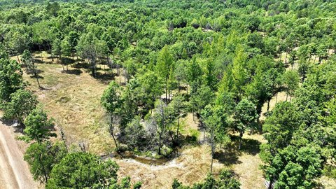 Hillside Recreational Homesite Acreage