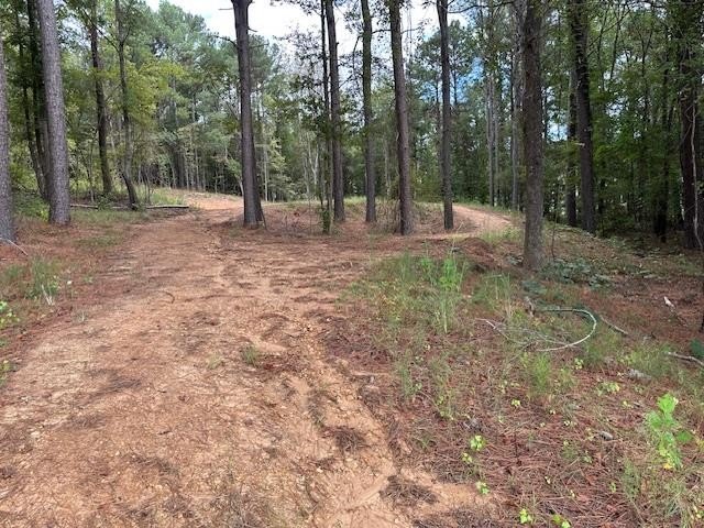 Residential Land in Oxford, MS