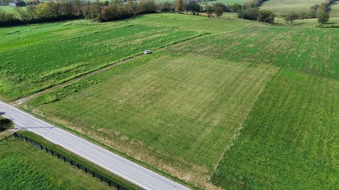 Lots and Land, Carlisle, KY