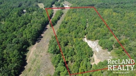 Wooded Hunting Land