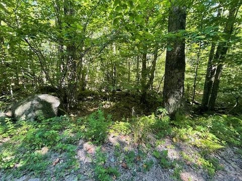 Henniker Land Parcel For Sale